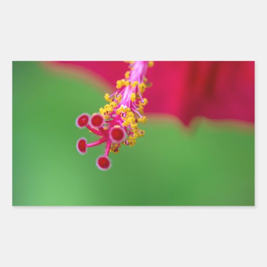 hibiscus rechthoekige sticker (Voorkant)