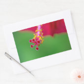 hibiscus rechthoekige sticker (Envelop)
