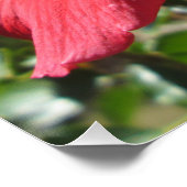 Hibiscus Red Flower Perfect Poster (Hoek)