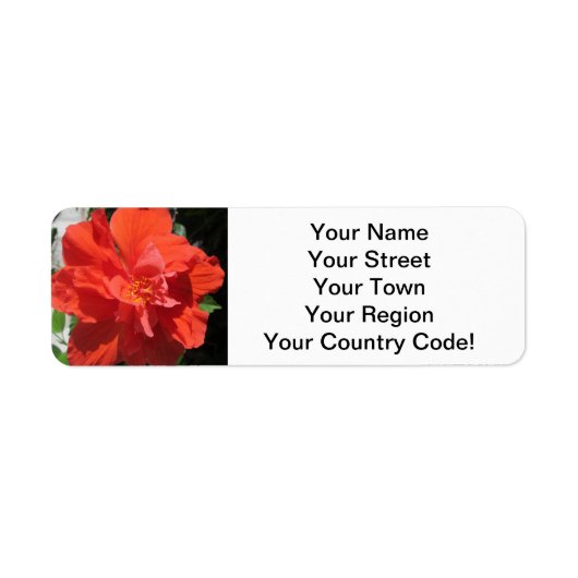 Hibiscus Red Flowering Plant Etiket (Voorkant)