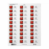 Hibiscus Red Flowering Plant Etiket (Full Sheet)