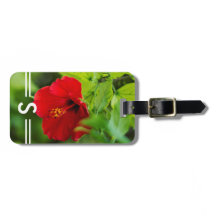 Hibiscus Red Hawaii Tropische ventilator + Initial