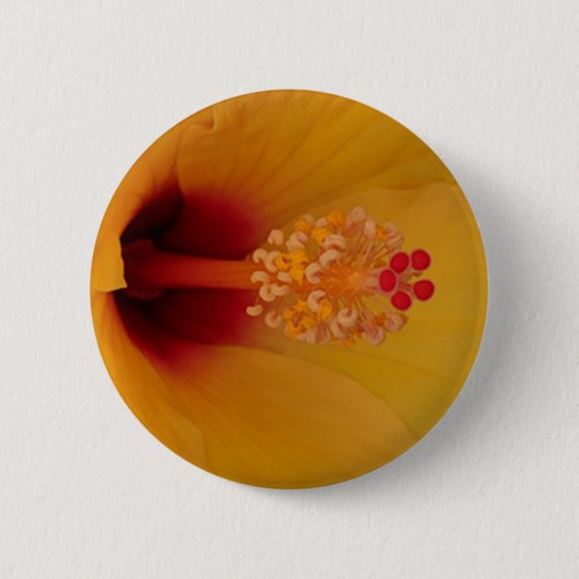 Hibiscus Ronde Button 5,7 Cm (Voorkant)