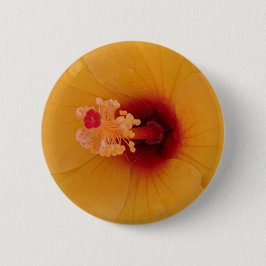 Hibiscus Ronde Button 5,7 Cm