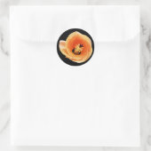 Hibiscus Ronde Sticker (Tas)