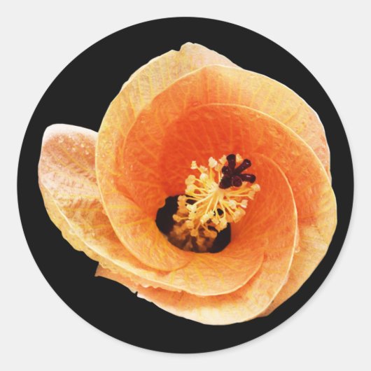 Hibiscus Ronde Sticker (Voorkant)