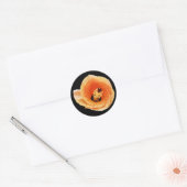 Hibiscus Ronde Sticker (Envelop)