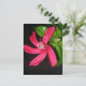 hibiscus rouge briefkaart (Staand voorkant)