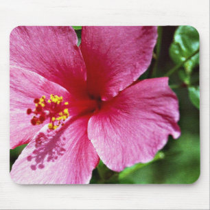 Hibiscus, roze muismat