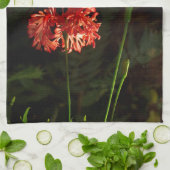 Hibiscus schizopetalus - Japanse lantaarn Theedoek (Gevouwen)