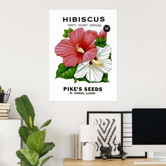 Hibiscus  Seed Packet Poster (Thuiskantoor)