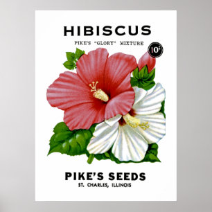 Hibiscus Seed Packet Poster