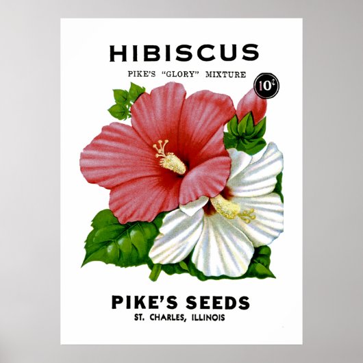 Hibiscus  Seed Packet Poster (Voorkant)