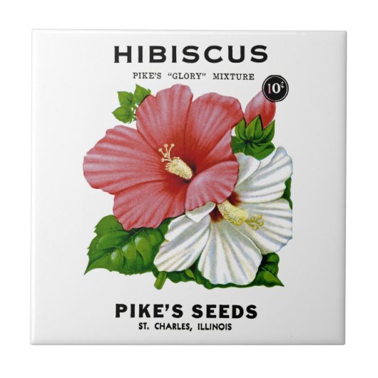 Hibiscus  Seed Packet Tegeltje (Voorkant)