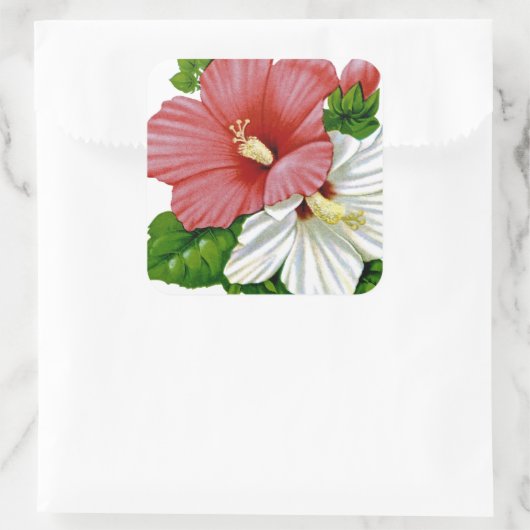 Hibiscus  Seed Packet Vierkante Sticker (Tas)