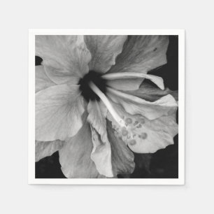 Hibiscus servet
