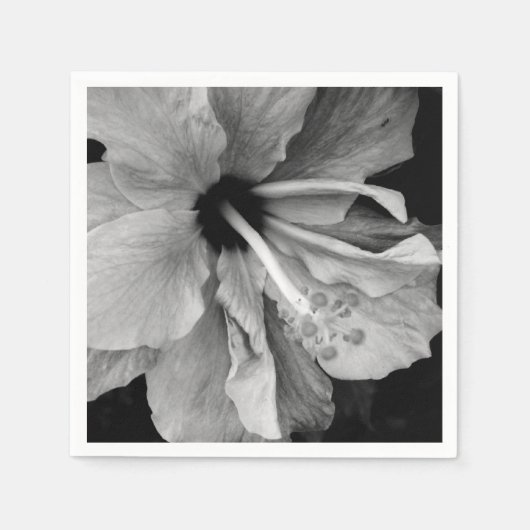 Hibiscus servet (Voorkant)
