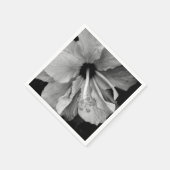 Hibiscus servet (Hoek)
