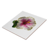 Hibiscus Snoep Striper Tegeltje (Zijkant)