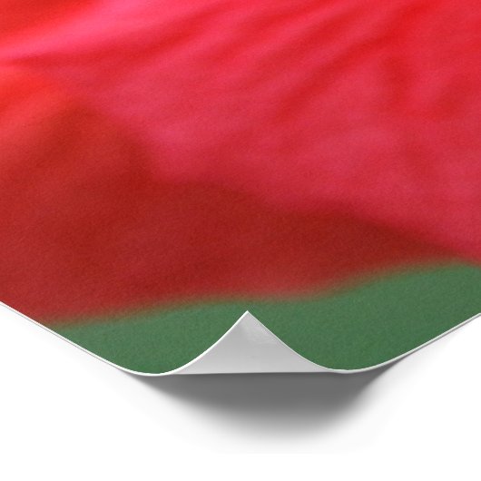 Hibiscus sun poster (Hoek)