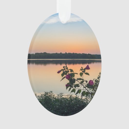Hibiscus Sunrise Ornament (voorkant)