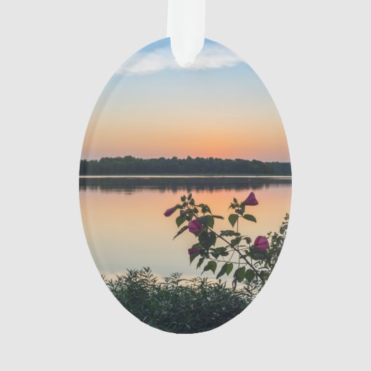Hibiscus Sunrise Ornament (achterkant)
