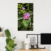 Hibiscus syriacus Aphrodite Shrub, roos Bloom Poster (Thuiskantoor)