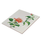 Hibiscus Tegeltje (Zijkant)