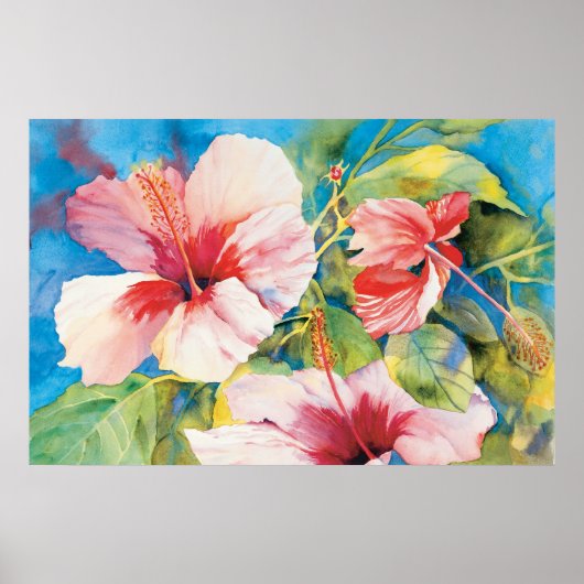 Hibiscus Triad Poster (Voorkant)