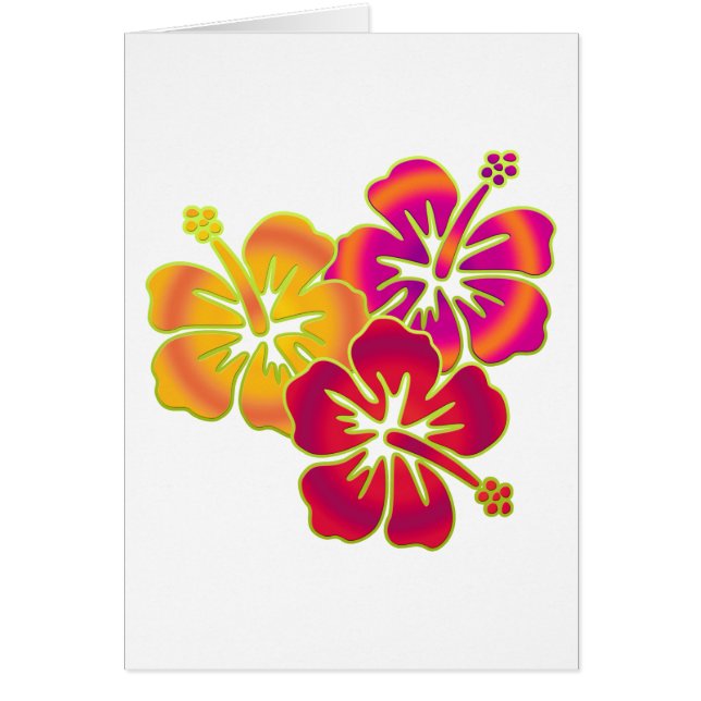 hibiscus trio (Voorkant)