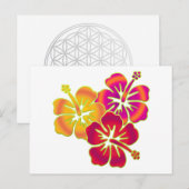 hibiscus trio briefkaart (Voorkant / Achterkant)