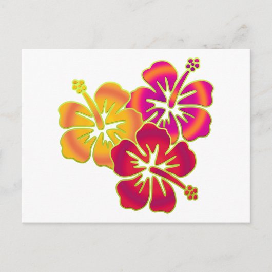hibiscus trio briefkaart (Voorkant)