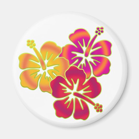 hibiscus trio magneet (Voorkant)