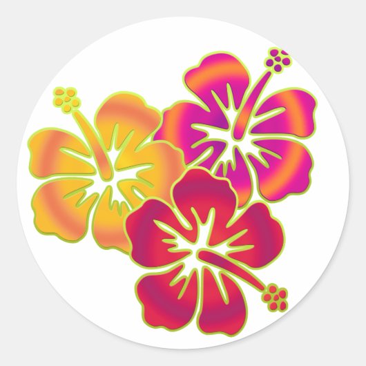 hibiscus trio ronde sticker (Voorkant)