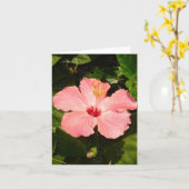 Hibiscus - V Kaart (Gele Bloem)