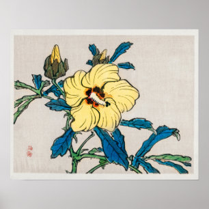 Hibiscus van Kono Bairei (1844-1895) Poster