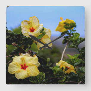 HIbiscus vierkant Maui wandklok