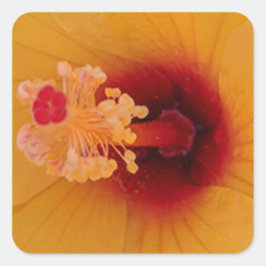 Hibiscus Vierkante Sticker