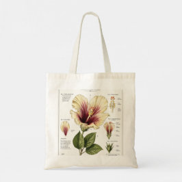 Hibiscus Vintage Bloem Anatomie Kunst Tote Bag