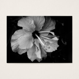 hibiscus visitekaartje