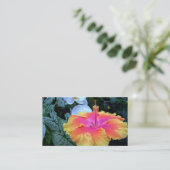 hibiscus visitekaartje (Staand voorkant)