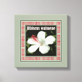 Hibiscus Waimeae Square Canvas Afdruk (Voorkant)