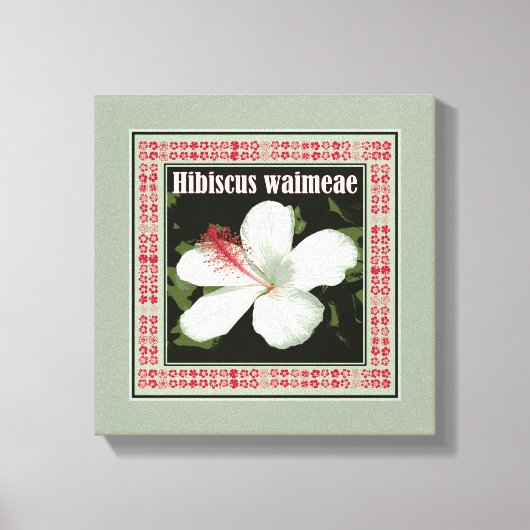 Hibiscus Waimeae Square Canvas Afdruk (Voorkant)