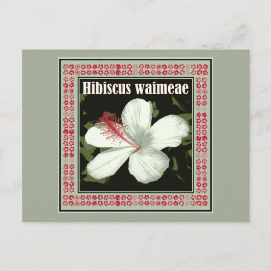 Hibiscus Waimeae uit Hawaii Briefkaart (Voorkant)