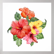 Hibiscus waterverf