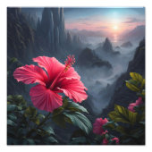 Hibiscus zonsondergang foto afdruk (Voorkant)