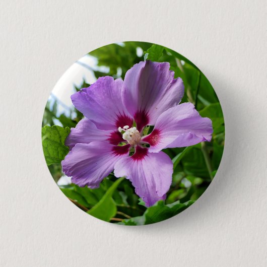 Hibiscusbadge Ronde Button 5,7 Cm (Voorkant)