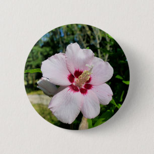 Hibiscusbadge Ronde Button 5,7 Cm
