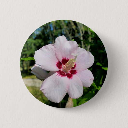 Hibiscusbadge Ronde Button 5,7 Cm (Voorkant)