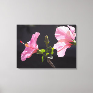 Hibiscusbloem in Profiel Canvas Afdruk